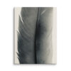 Obsidian Plume Obsidian Plume gallery wrapped canvas art
