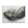 Shadowed Plume Shadowed Plume gallery wrapped canvas art