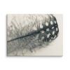 Misty Plume Misty Plume gallery wrapped canvas art