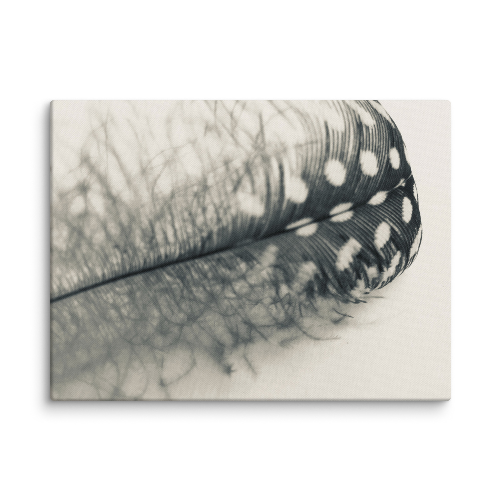 Misty Plume Misty Plume gallery wrapped canvas art