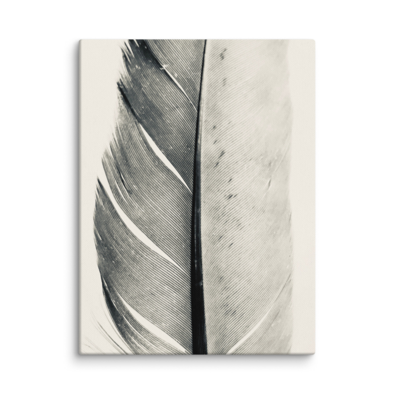 The Scholar's Quill canvas art print