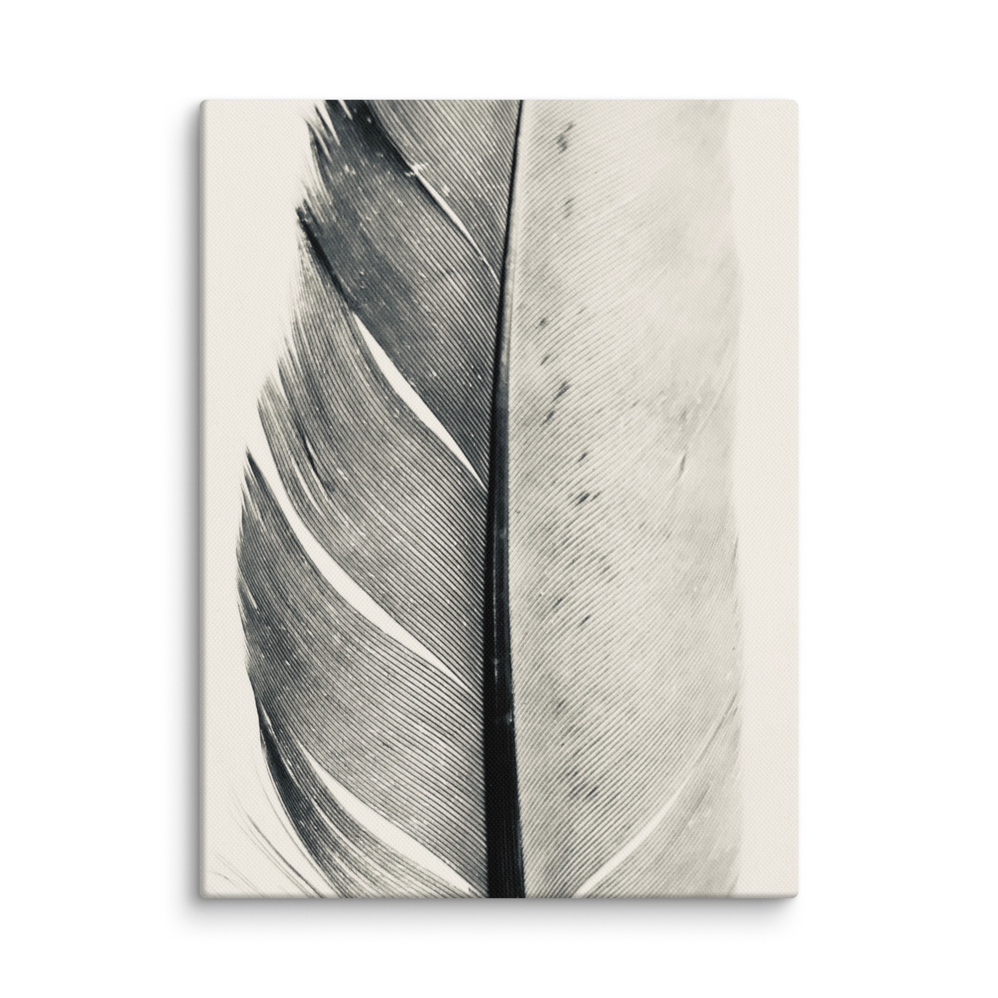 The Scholar's Quill The Scholar's Quill gallery wrapped canvas art