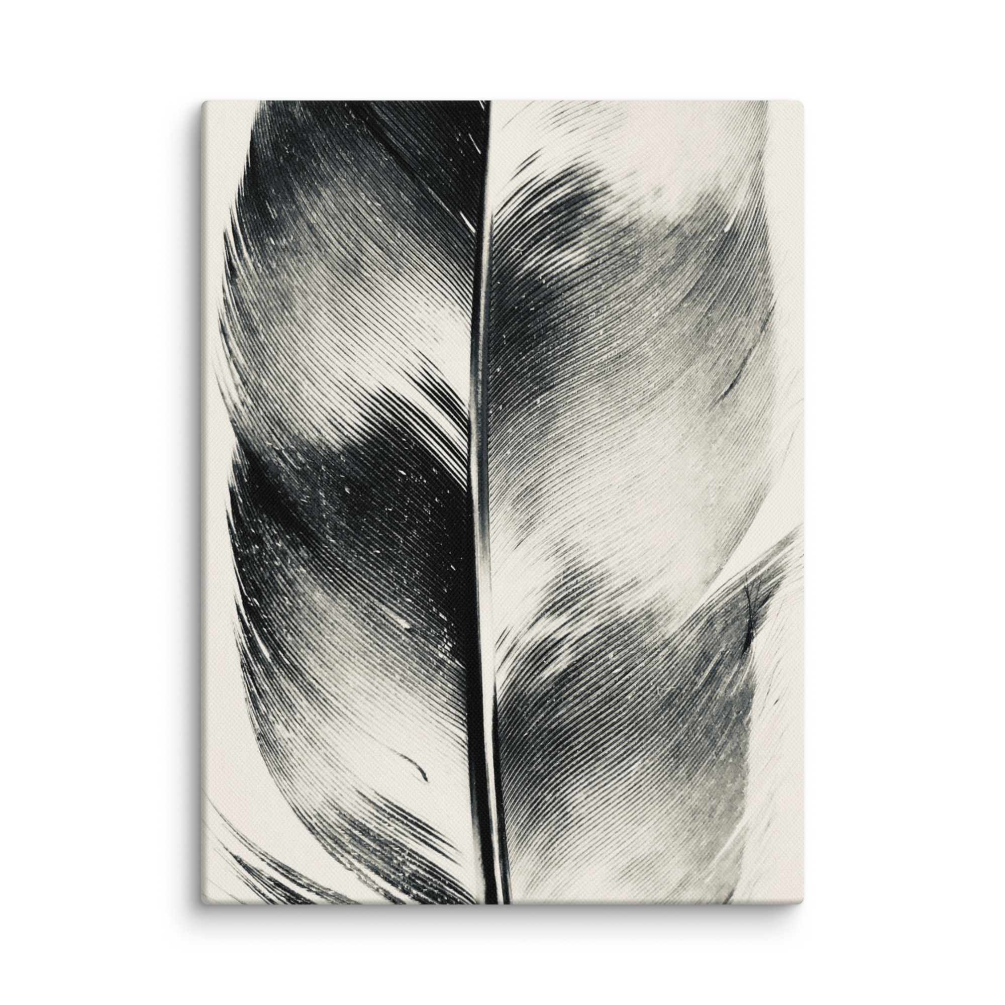 Filigree Plume Filigree Plume gallery wrapped canvas art