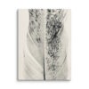 Striped Plume Striped Plume gallery wrapped canvas art