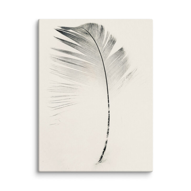 Lightfall Quill gallery wrapped canvas art