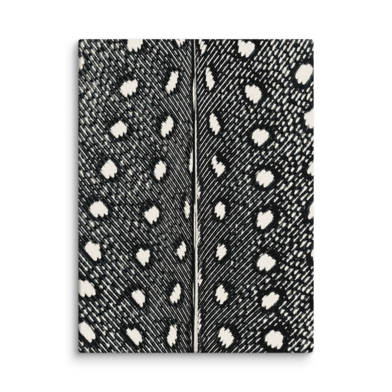 Guinean Divide gallery wrapped canvas art