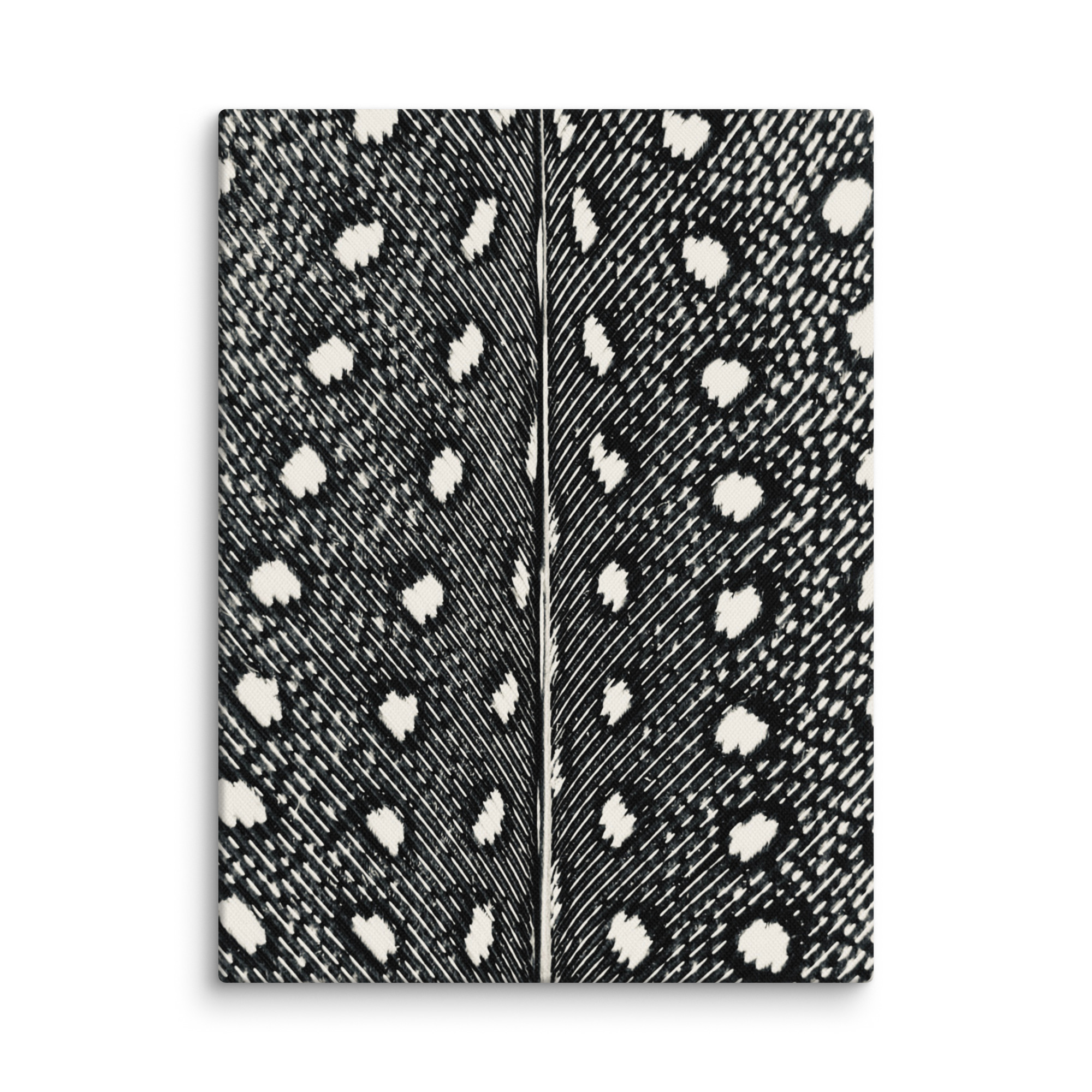 Guinean Divide gallery wrapped canvas art