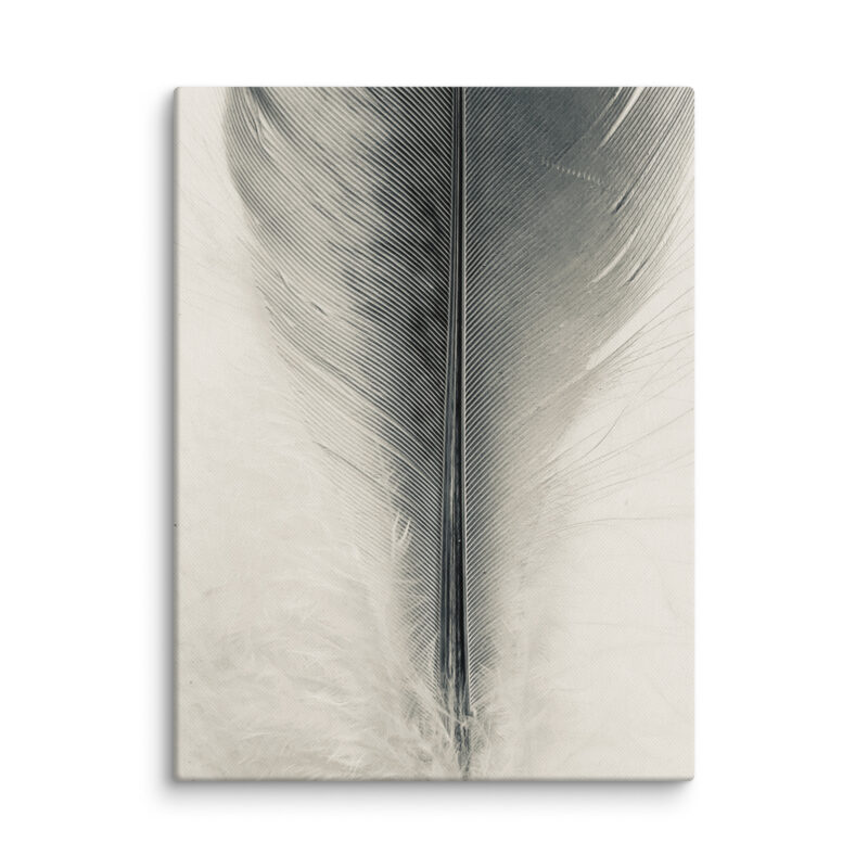 Monolith Quill gallery wrapped canvas art