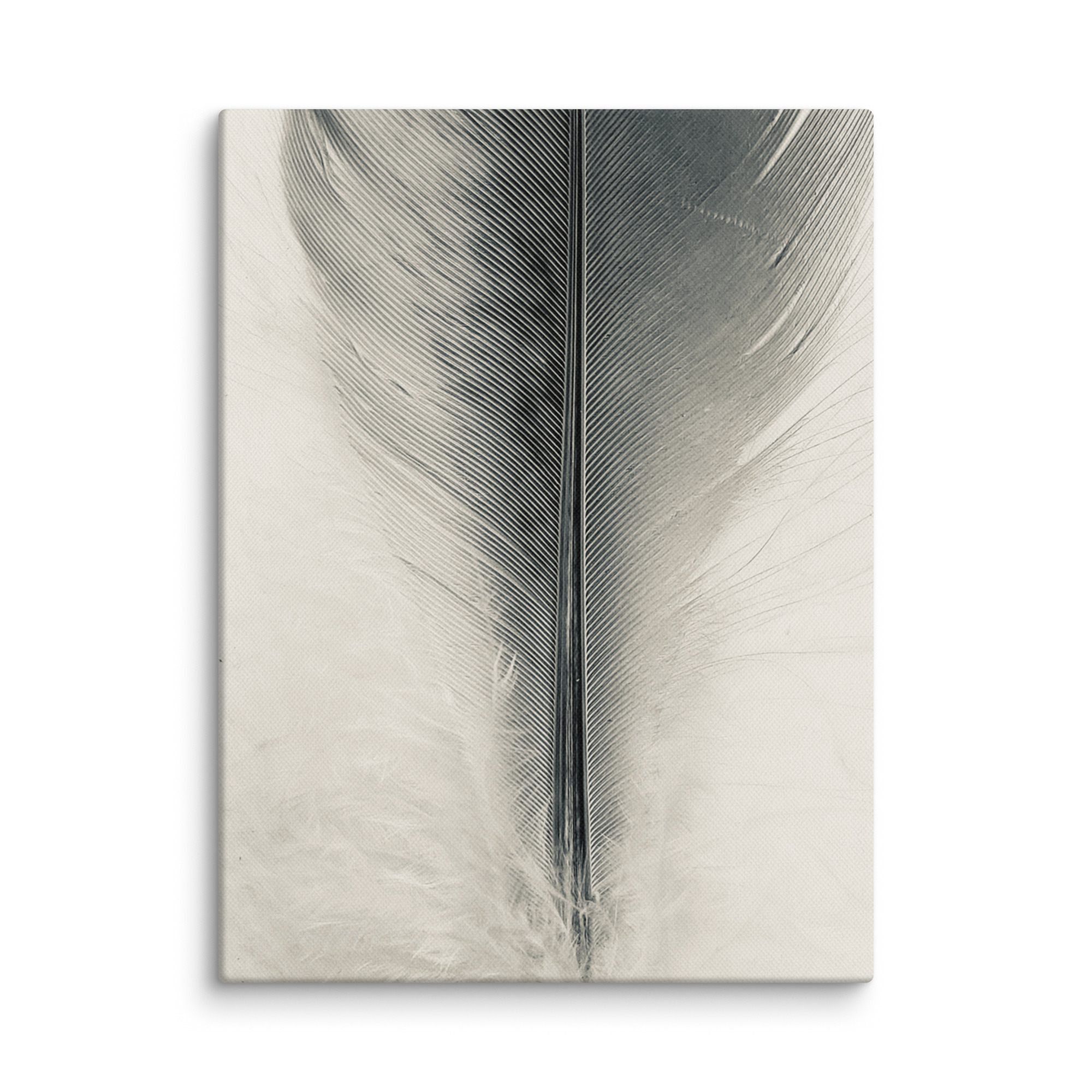 Monolith Quill gallery wrapped canvas art