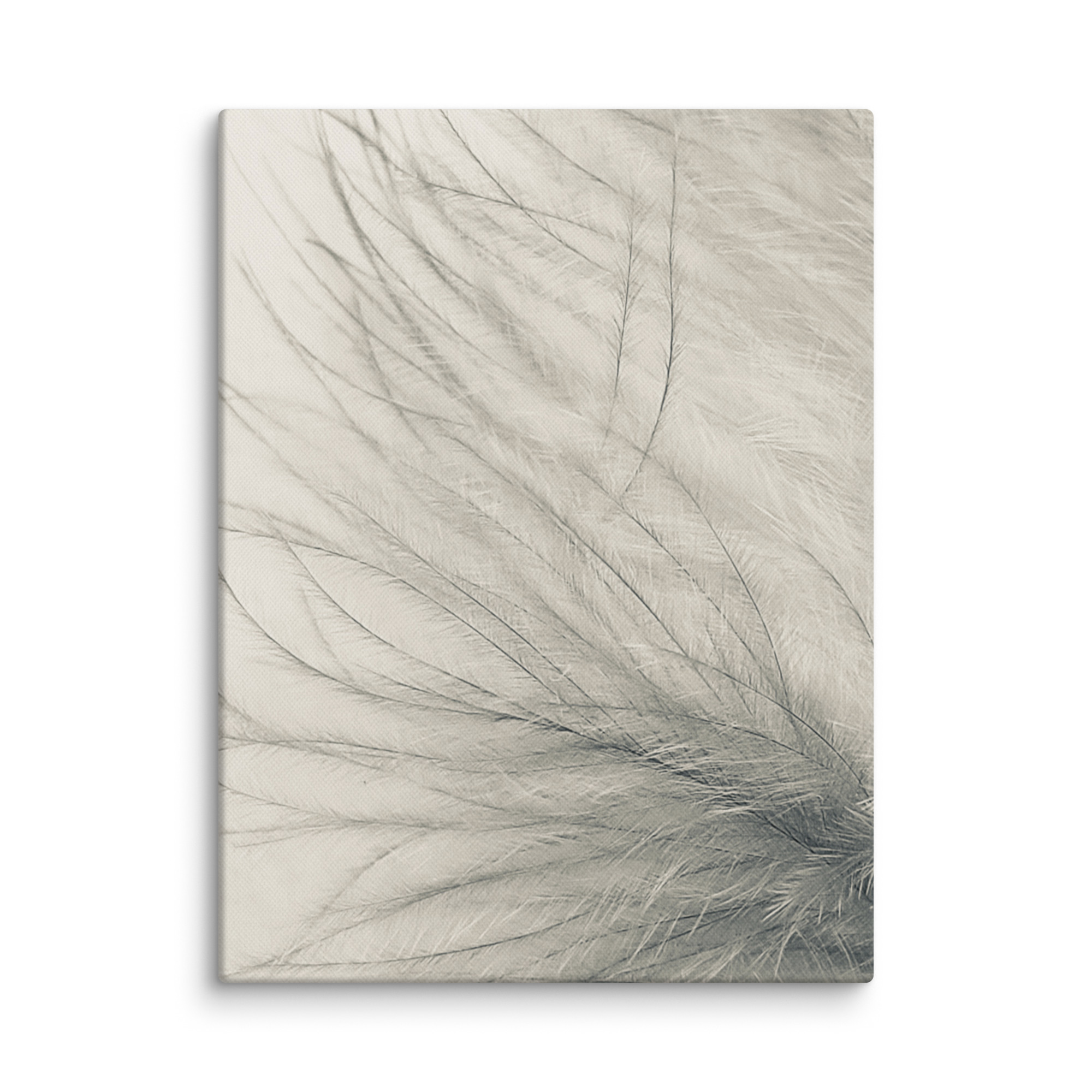 Ethereal Whispers Ethereal Whispers gallery wrapped canvas art