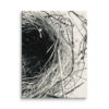 Sanctuary in Stillness: Nest in Monochrome Sanctuary in Stillness: Nest in Monochrome gallery wrapped canvas art
