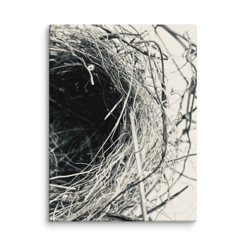 Sanctuary in Stillness: Nest in Monochrome gallery wrapped canvas art