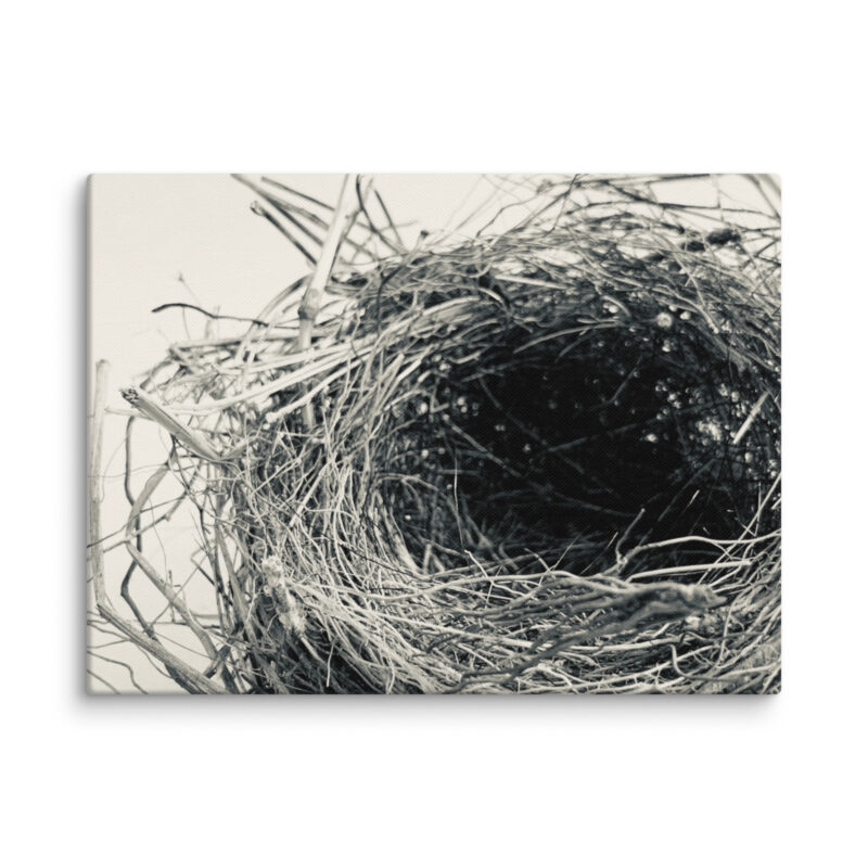 Empty Haven: A Portrait of Stillness gallery wrapped canvas art