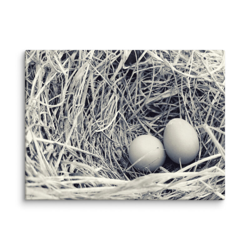 Nestled Promise: A Study in Simplicity gallery wrapped canvas art