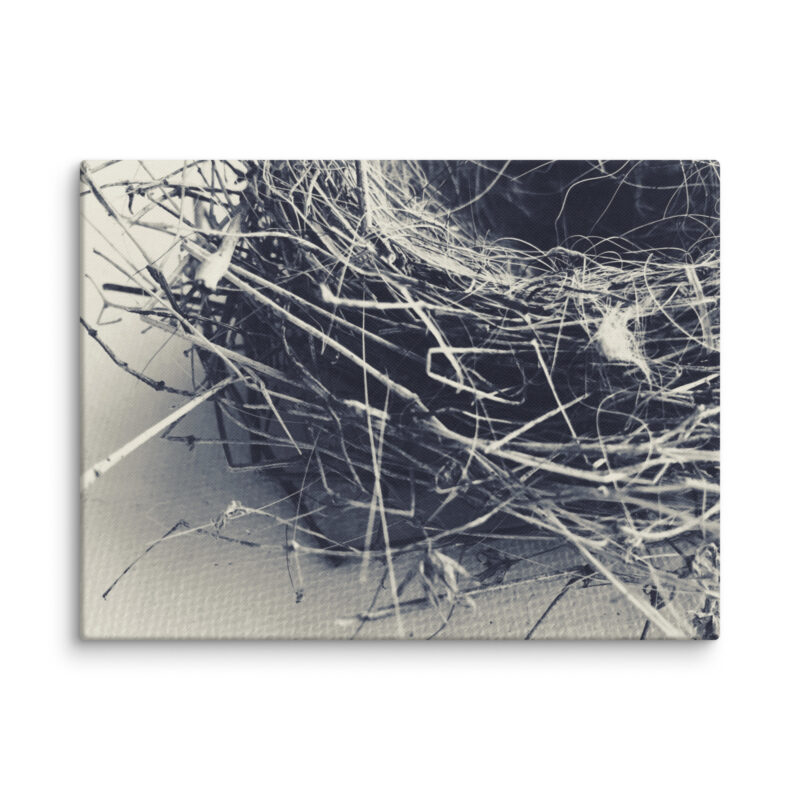 Tangled Haven: The Art of Shelter gallery wrapped canvas art
