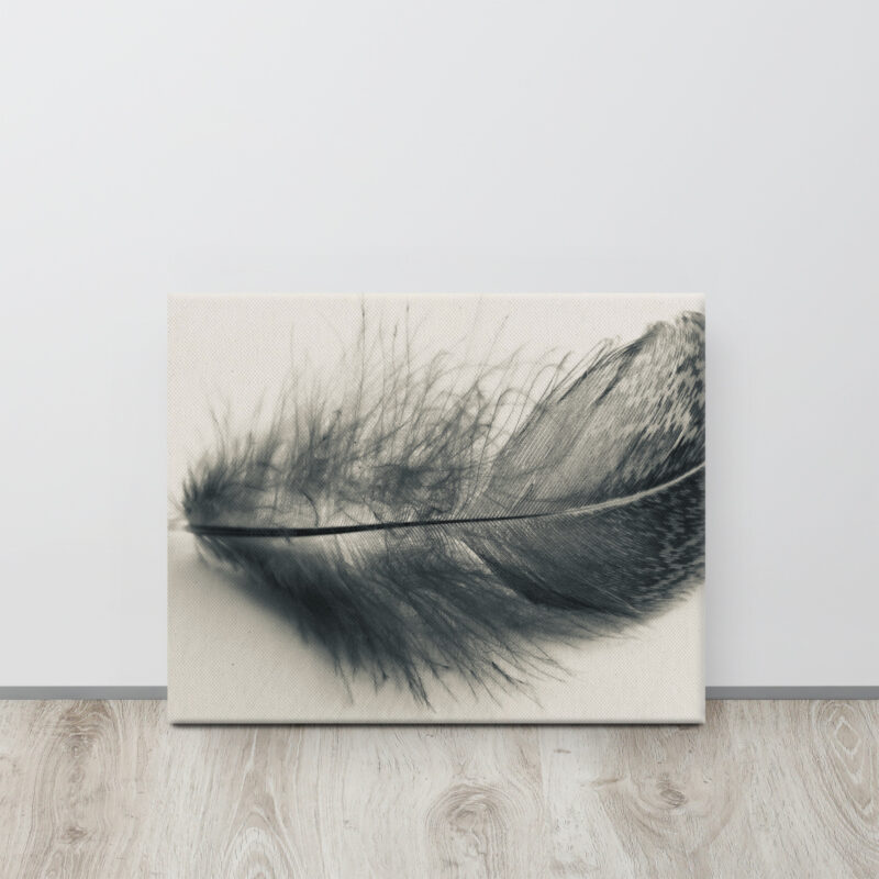 Shadowed Plume Shadowed Plume gallery wrapped canvas art (front view)