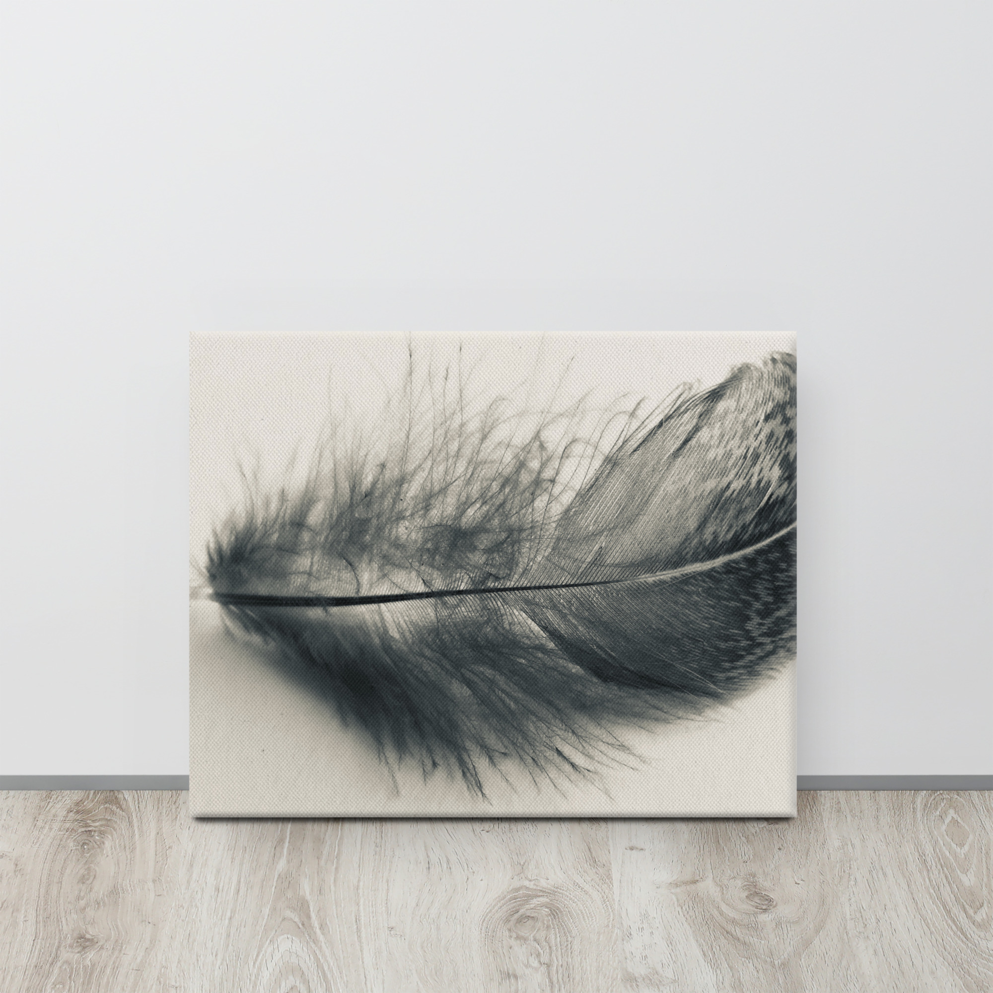 Shadowed Plume Shadowed Plume gallery wrapped canvas art (front view)