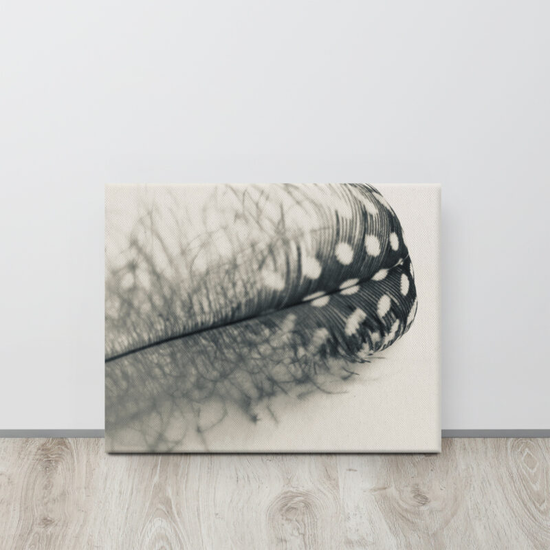Misty Plume Misty Plume gallery wrapped canvas art (front view)