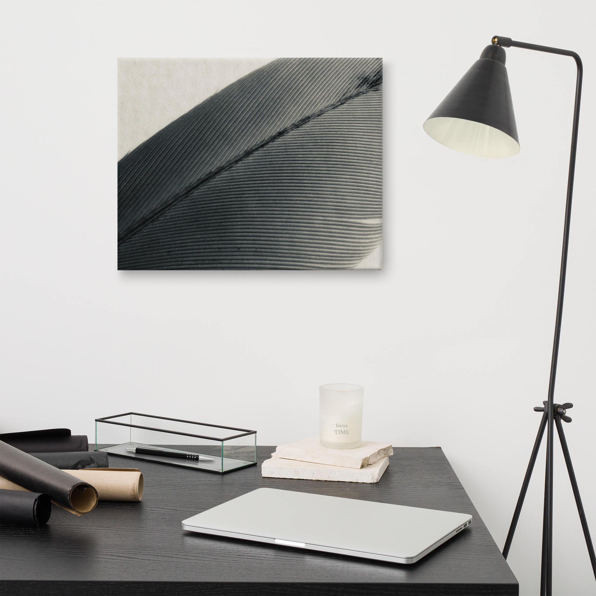 Vellum Feather gallery wrapped canvas art (front view)