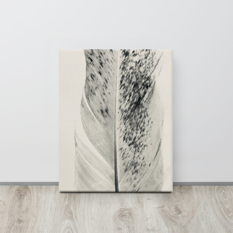 Striped Plume gallery wrapped canvas art (front view)