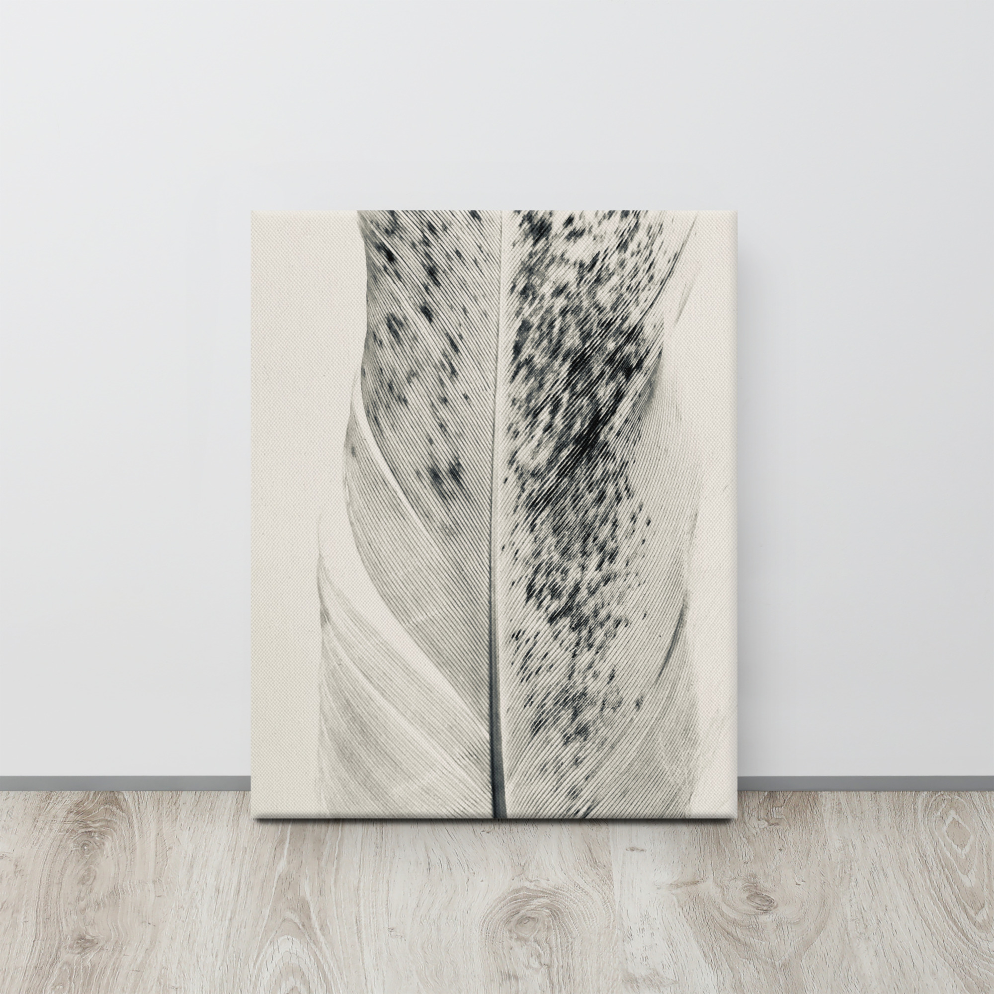 Striped Plume Striped Plume gallery wrapped canvas art (front view)