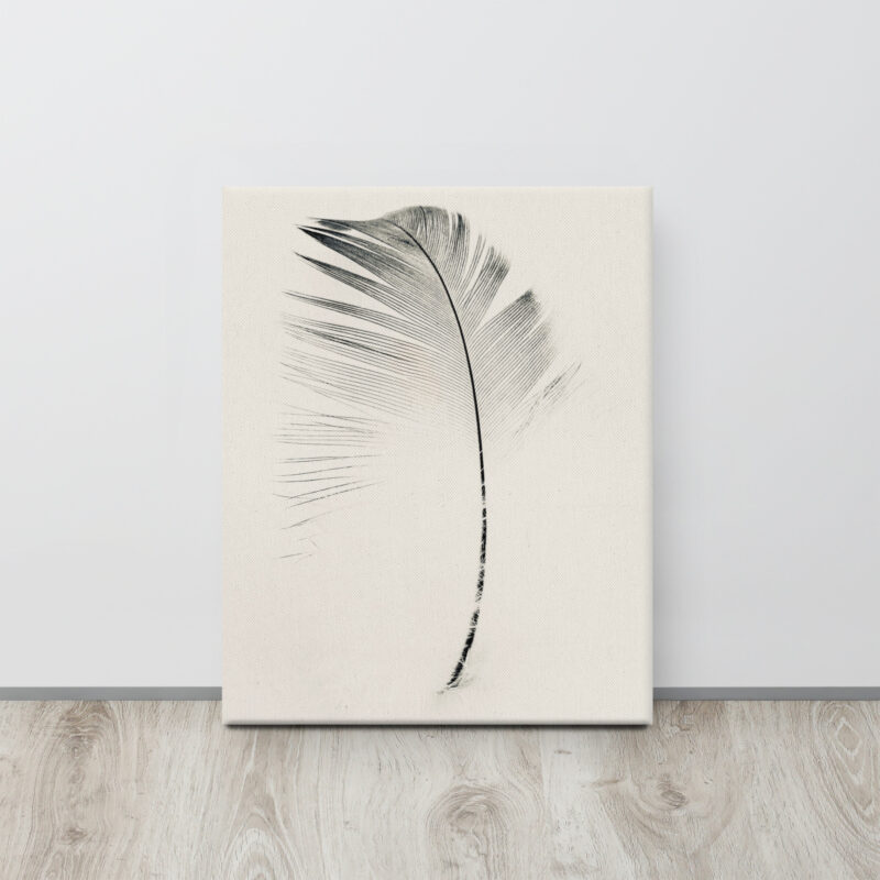 Lightfall Quill gallery wrapped canvas art (front view)
