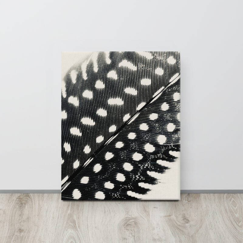 Guinea's Ascent gallery wrapped canvas art (front view)