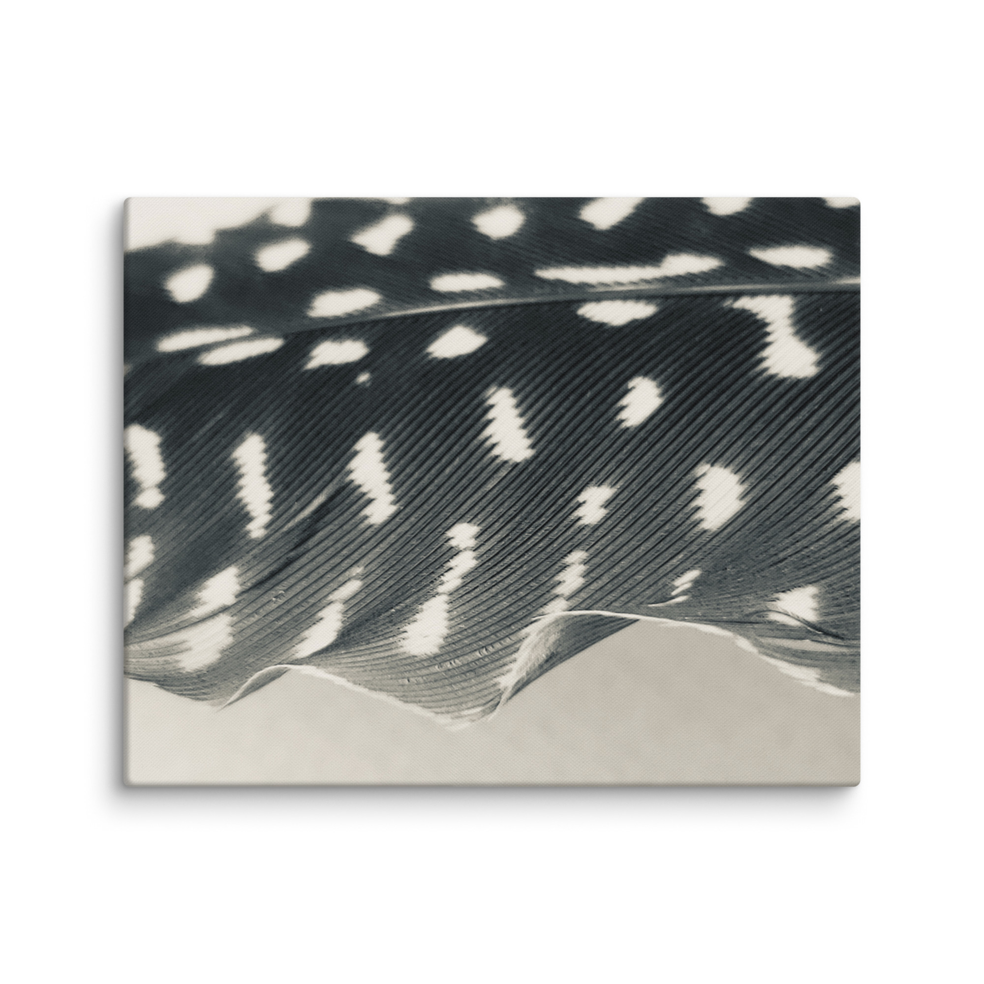 Speckled Grace: Nature’s Quiet Statement gallery wrapped canvas art