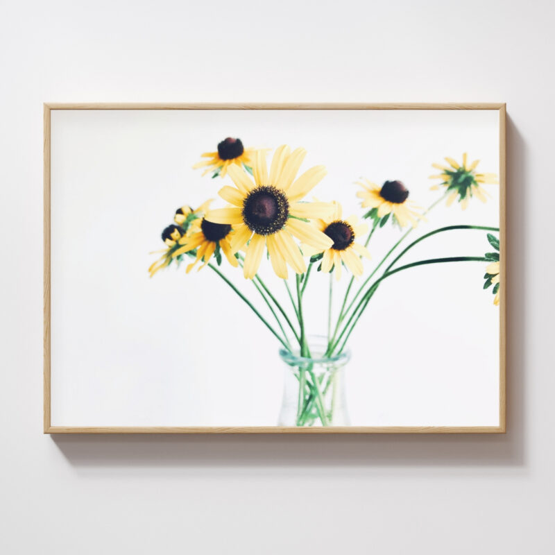 Summer Cluster Summer Cluster fine art photography