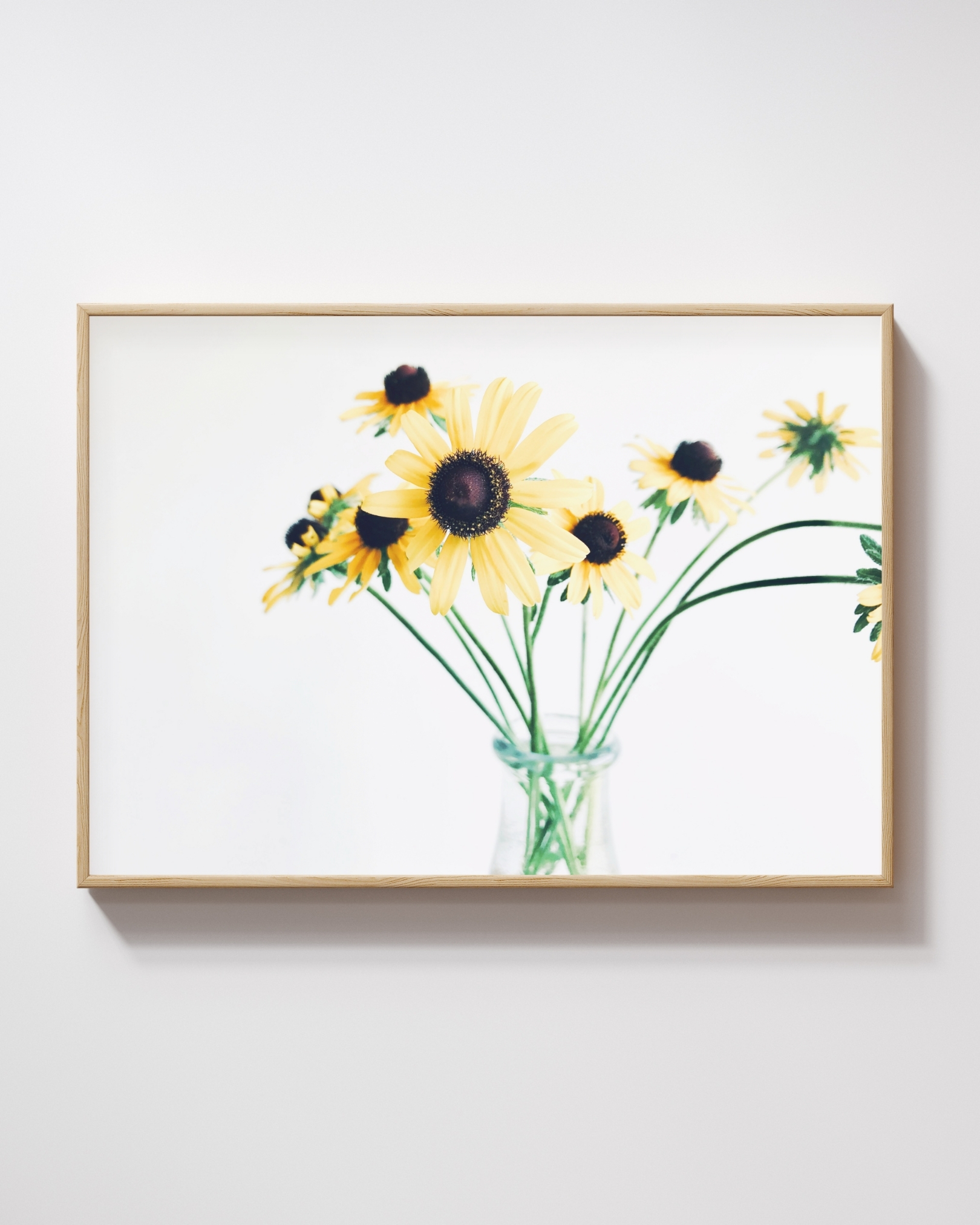 Summer Cluster Summer Cluster fine art photography