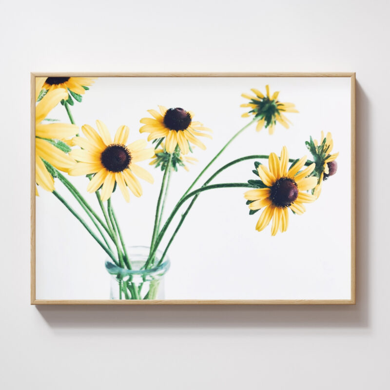 Bright Companions Bright Companions fine art photography