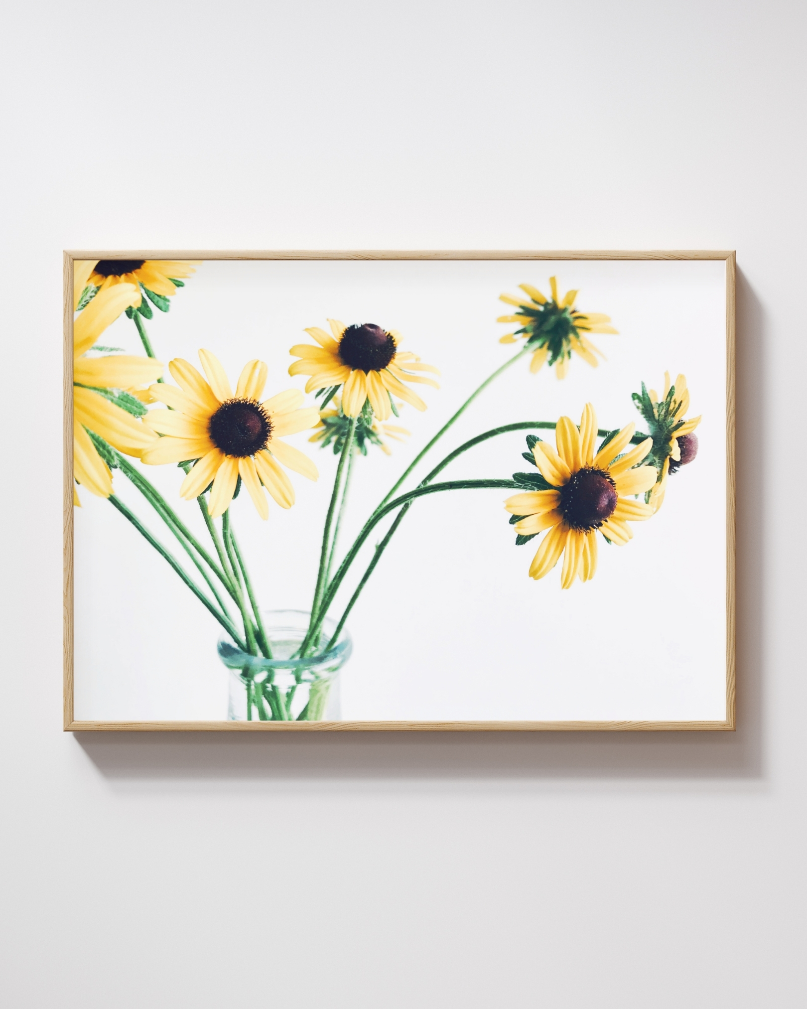 Bright Companions Bright Companions fine art photography