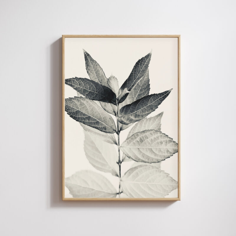 Silver Veins Silver Veins fine art photography