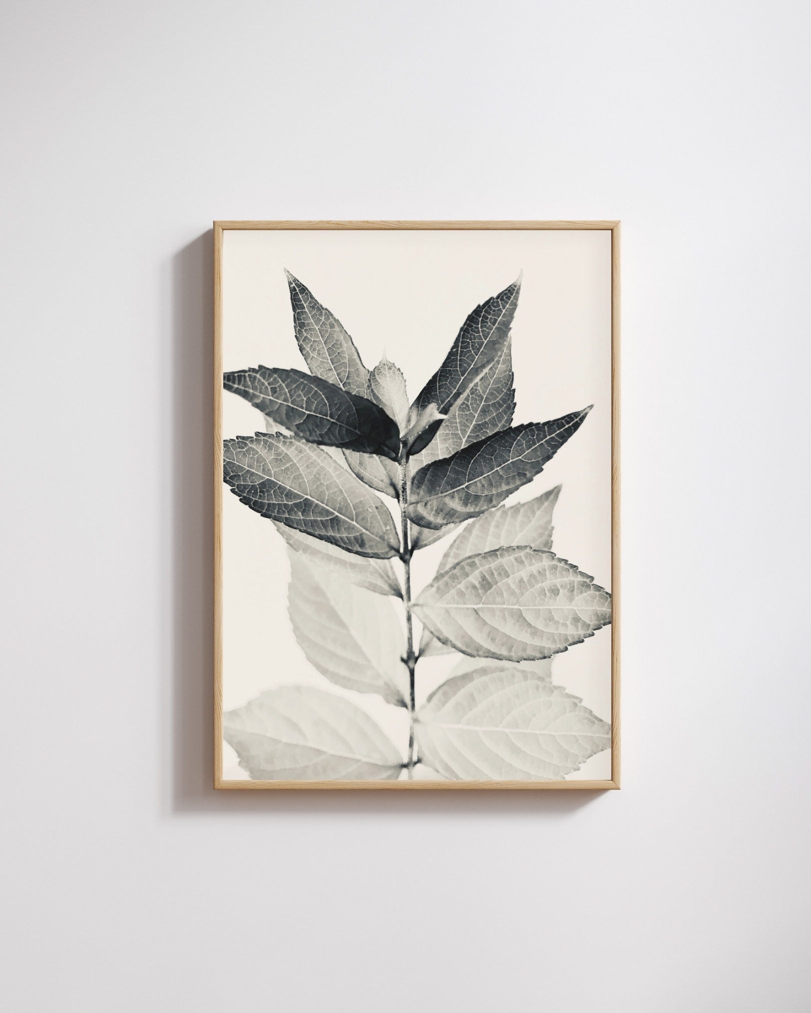 Silver Veins Silver Veins fine art photography