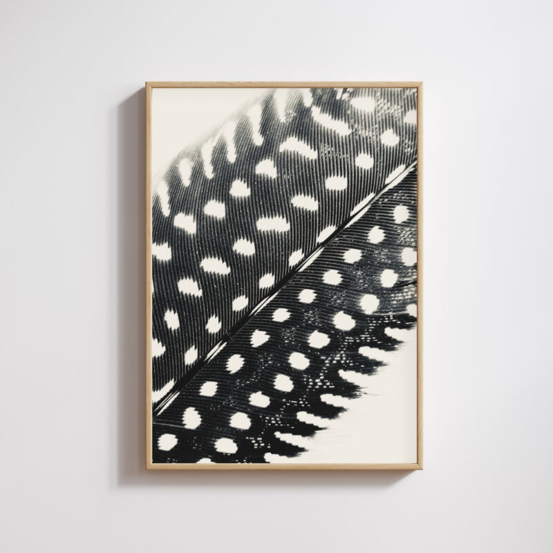 Silver Spots Silver Spots fine art photography