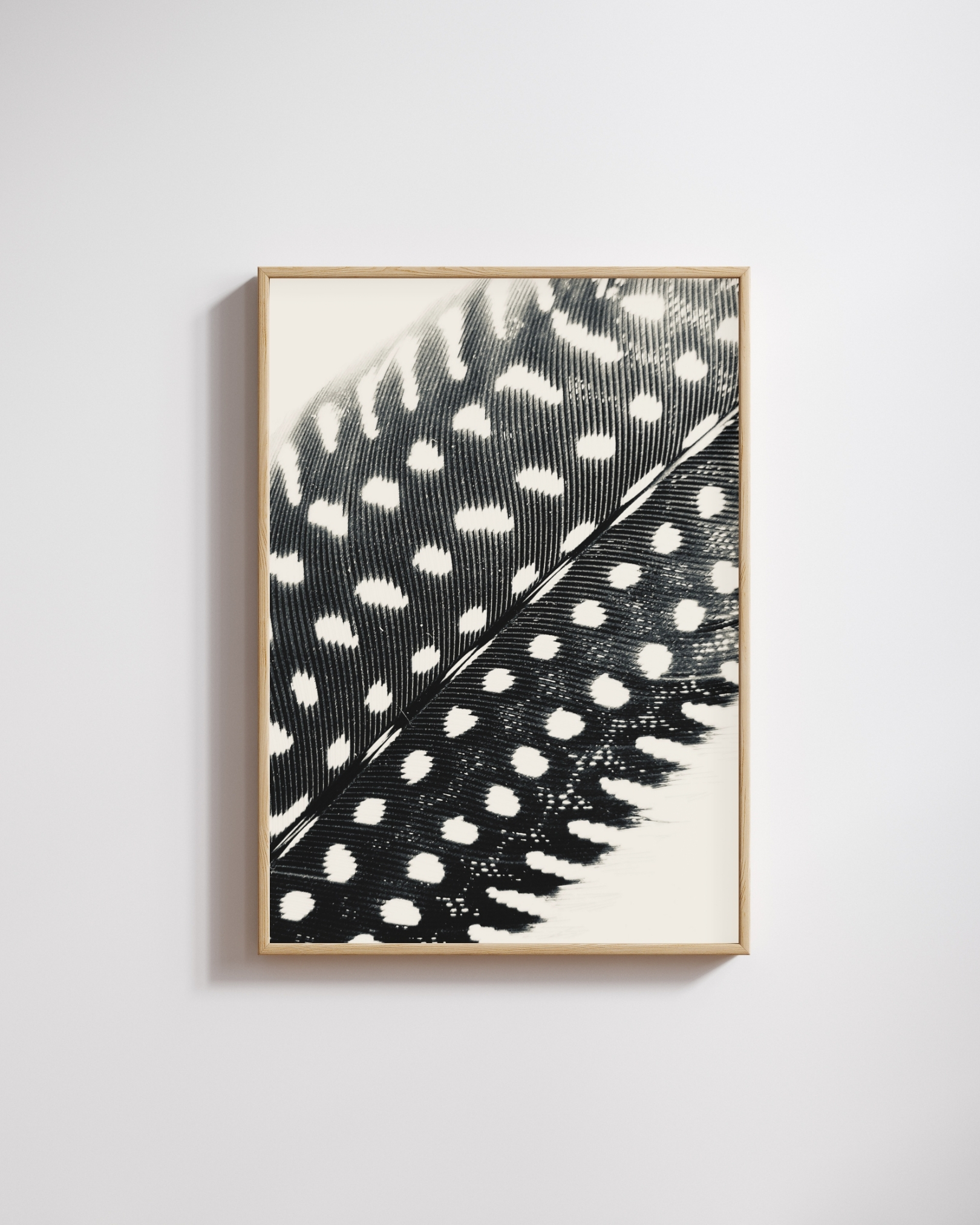 Silver Spots fine art photography