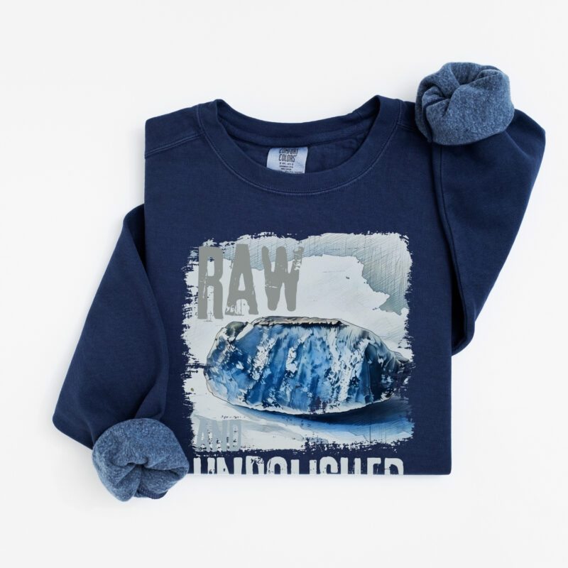 Unpolished vintage style sweatshirts – Denim