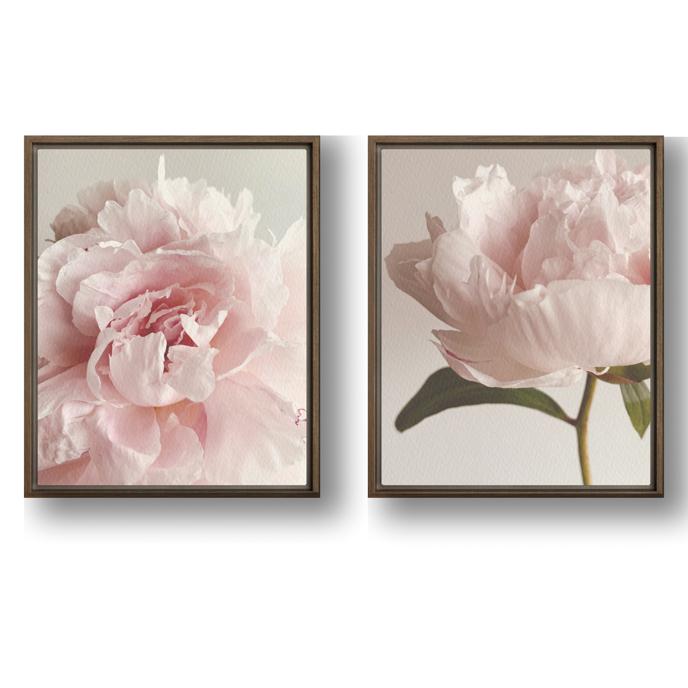 Contoured Bloom framed canvas art