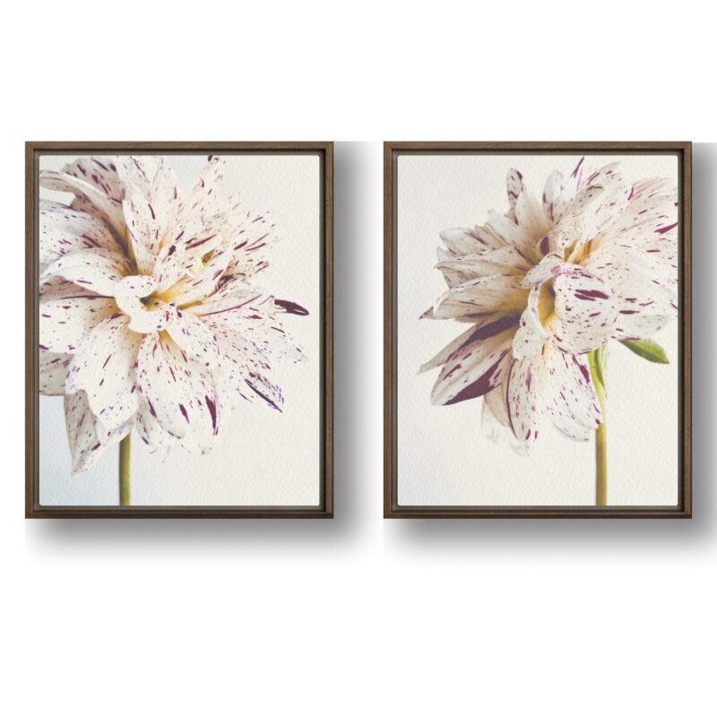 Pattern Pair Pattern Pair framed canvas art