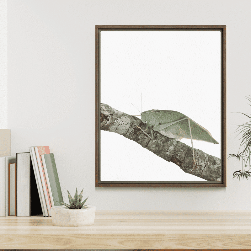 The Analyst framed canvas art