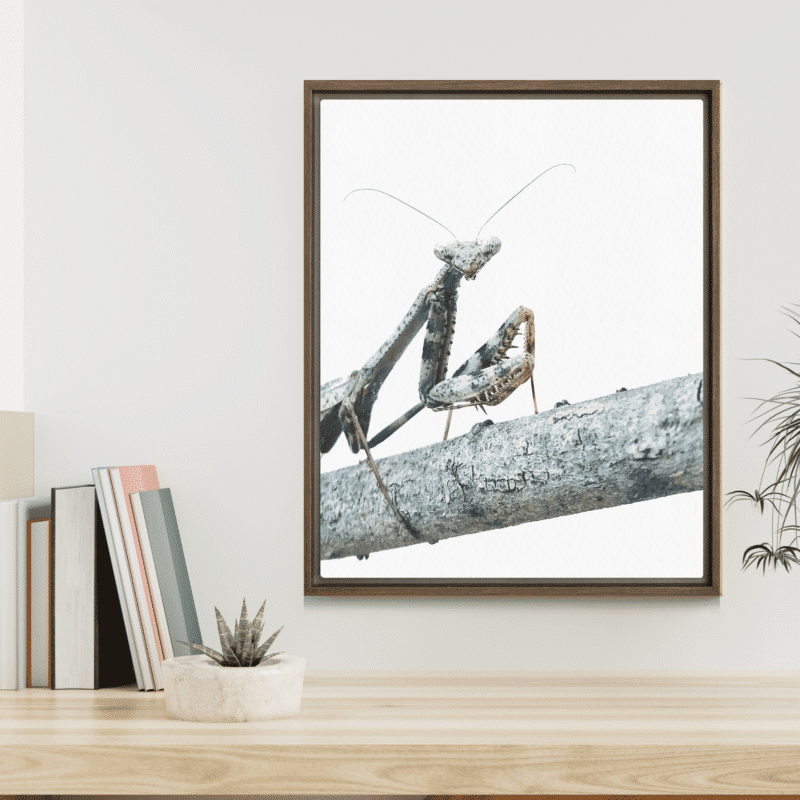 The Executive framed canvas art