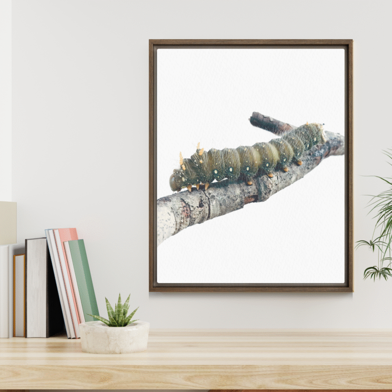 The Intern framed canvas art