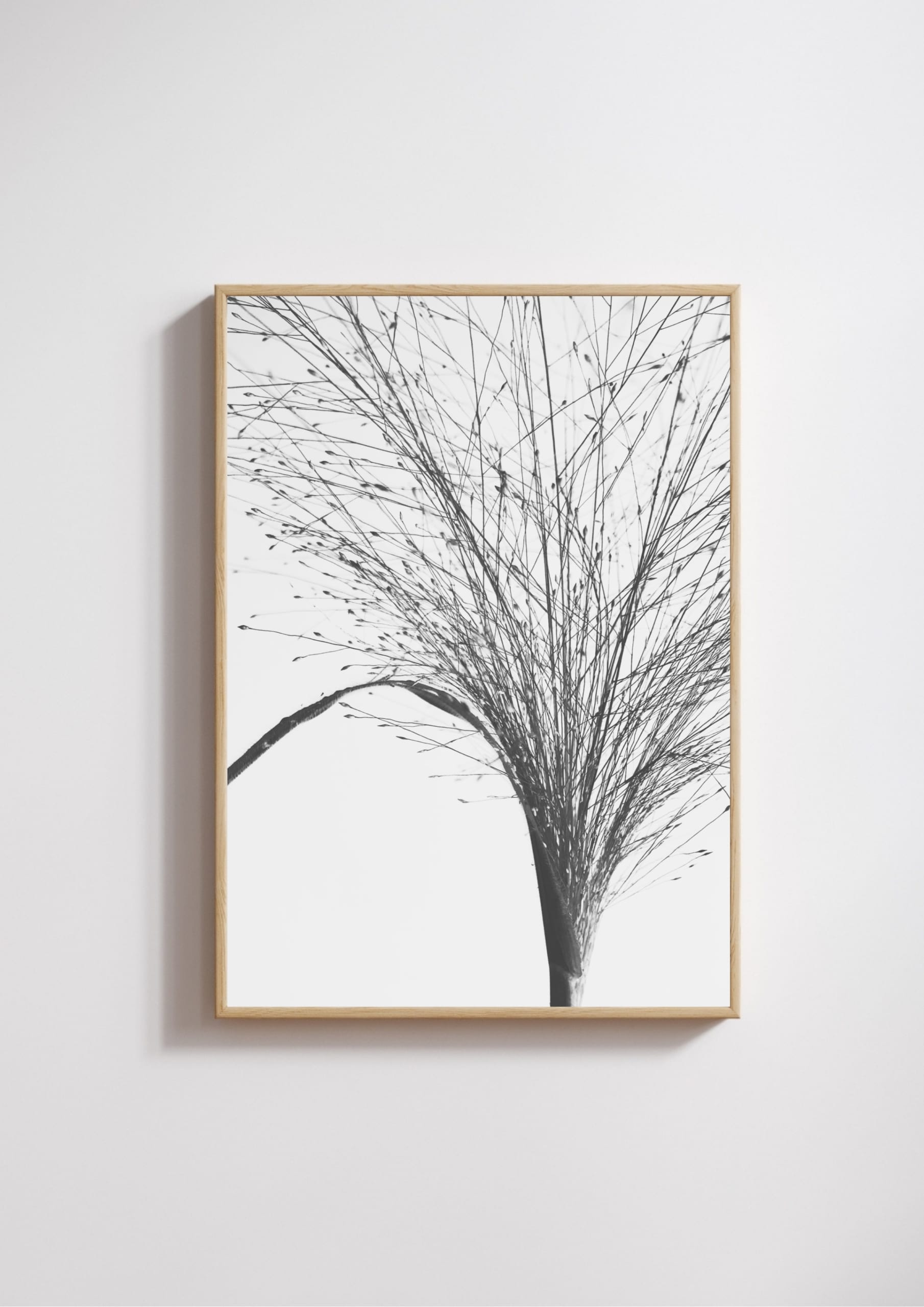 Meadow Script Meadow Script fine art photography