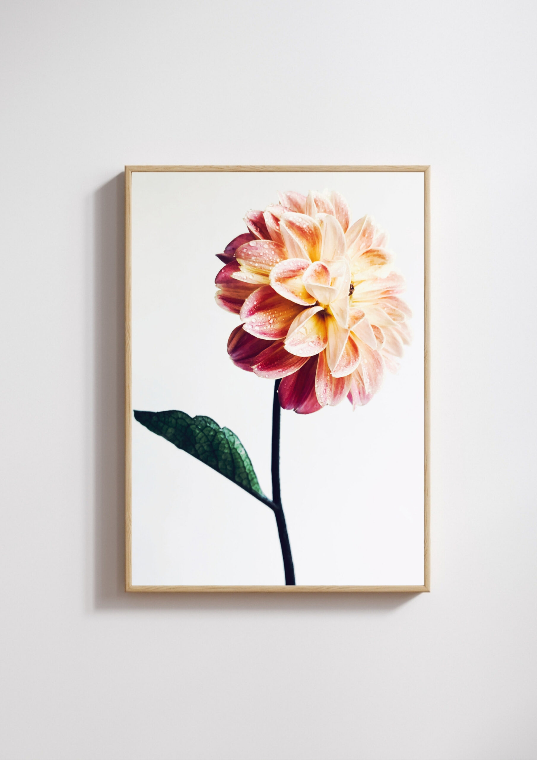 Blush Mist Blush Mist fine art photography