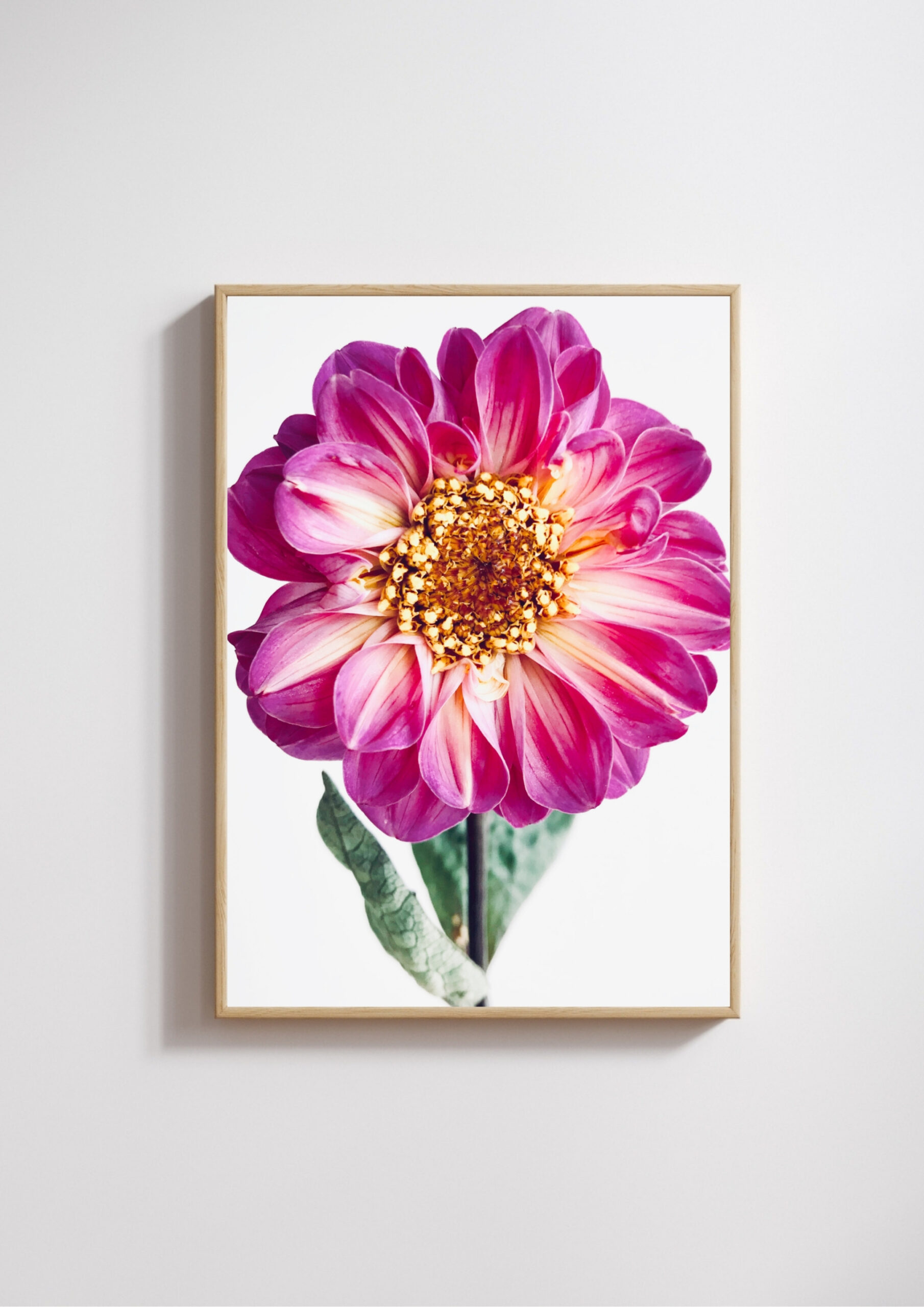 Garden Jewel Garden Jewel fine art photography