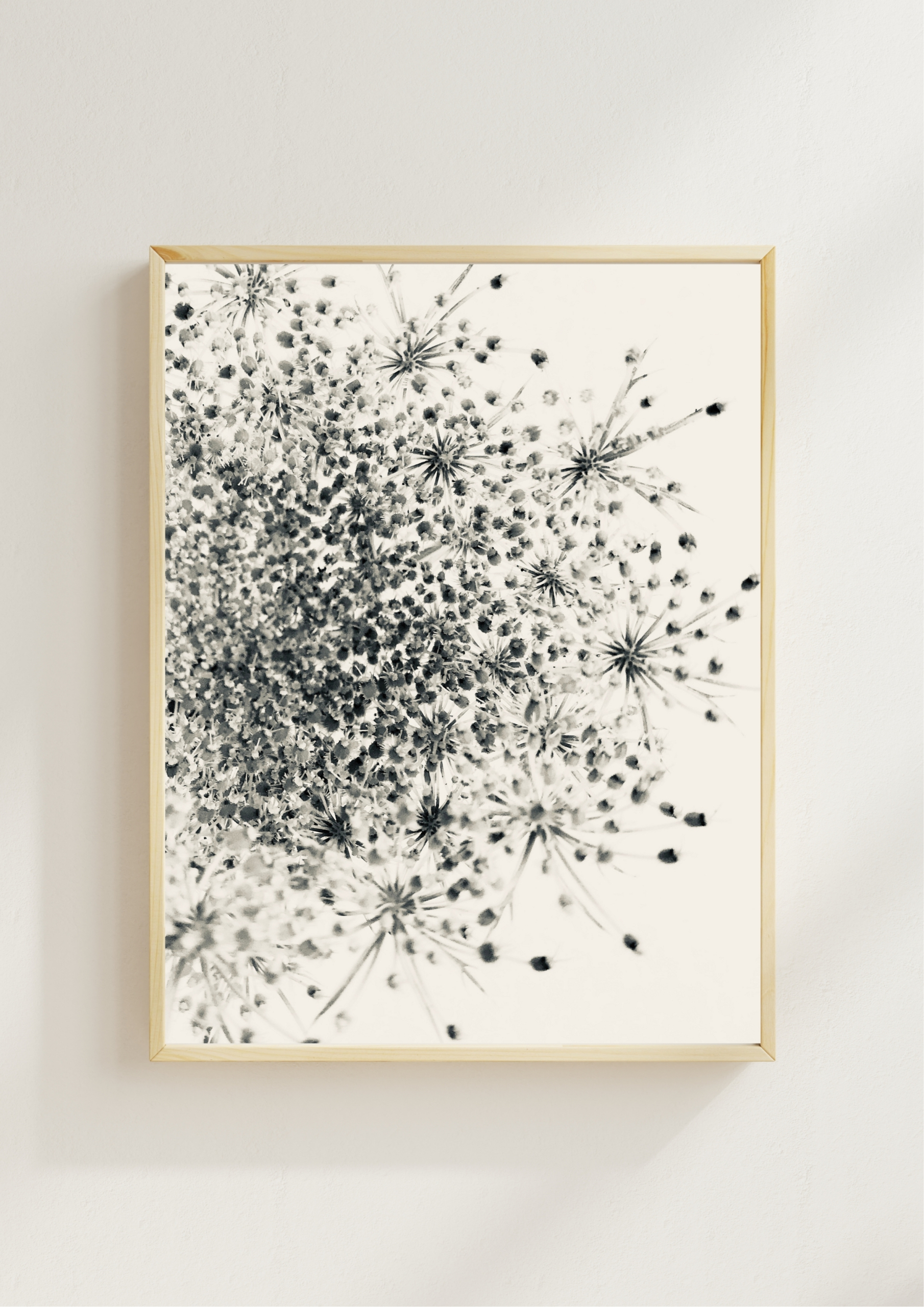 Silver Lace Silver Lace fine art photography