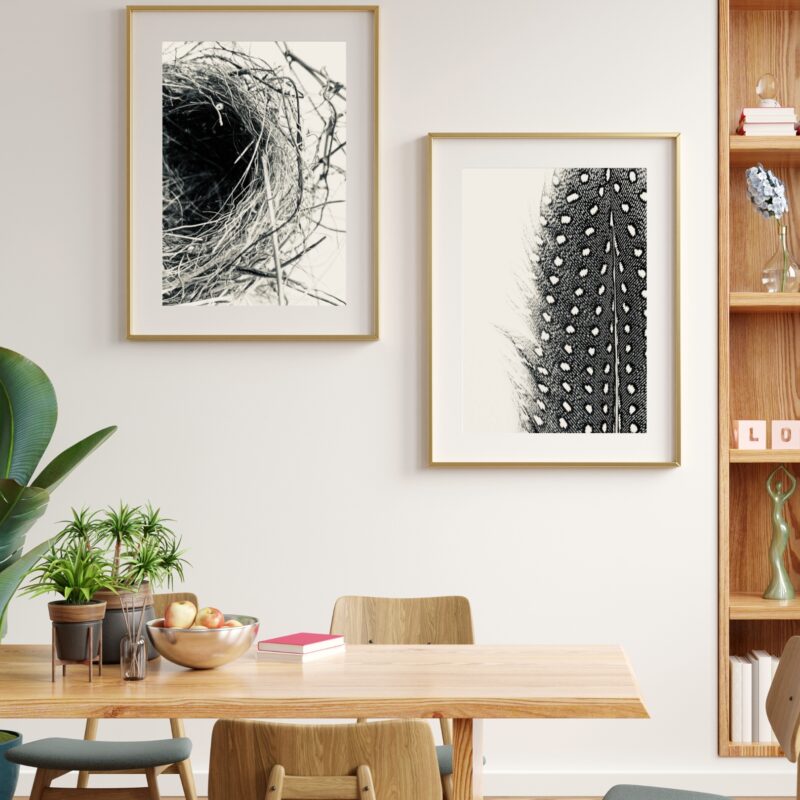 Haven & Flight Haven & Flight fine art photography