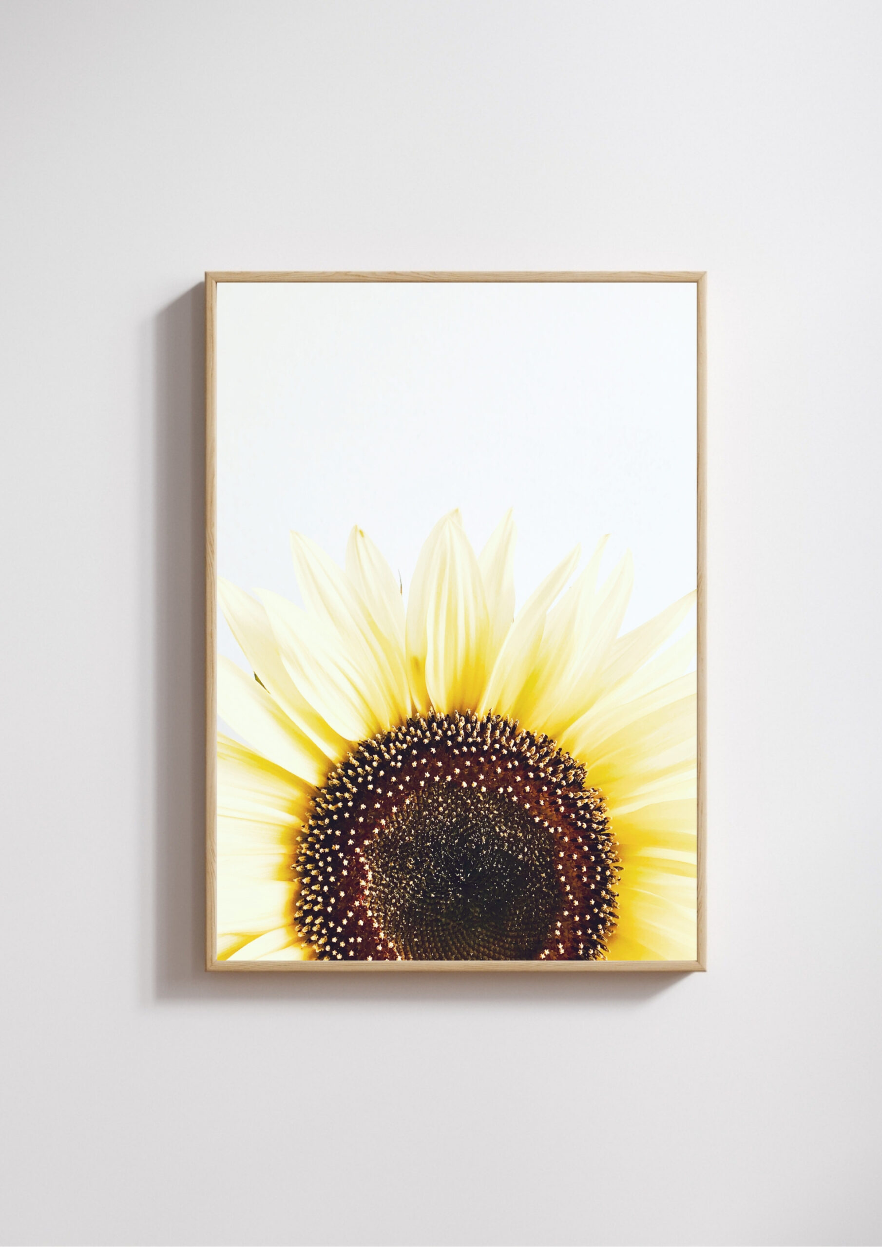 Morning Arc Morning Arc fine art photography