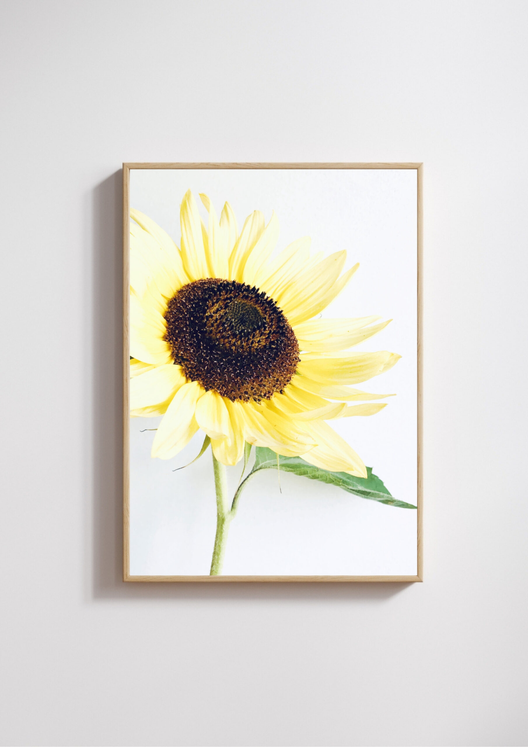 Radiance Radiance fine art photography