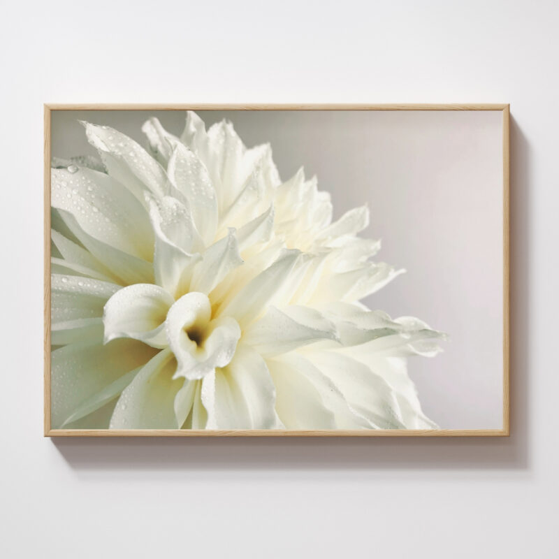 Morning Veil Morning Veil fine art photography